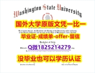 伪造研究生学位证书【美国华盛顿州立大学学位证书硕士offer】1825214279微Q伪造】购买学士文凭证书