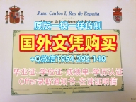 美国UTD毕业证书PDF电子版德克萨斯大学达拉斯分校学历学位证书办理的七个常见问题University of Texas at Dallas Bachloer Degree