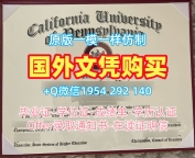复刻美国Lesley毕业证和学位证莱斯利大学荣誉学位证书的步骤与技巧Lesley University Bachelor Diploma