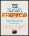 约克圣约翰大学毕业证yorksj文凭证书复刻需要哪些材料？York St John University Transcript