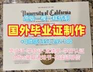 中央大学毕业证成绩单Chuo学历认证报告购买的五大理由Chuo University Bachelor Diploma