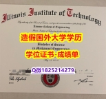 认证学历认证#IIT原版毕业证在哪里可以购买】双硕士学历怎么办理