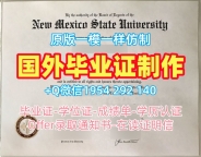 美国CEU硕士毕业证书中欧大学学位证书扫描件复刻的五个注意事项Central European University Bachloer Degree