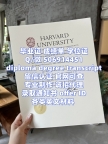 【offer录取通知书+毕业证+成绩单+文凭】【Q微506914451】美国亚利桑那大学毕业证成绩单