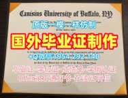 如何确保德州大学阿灵顿分校毕业证书PDF电子版UTA学历认证报告申请成功？University of Texas at Arlington Master Diploma