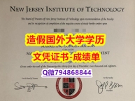 高级文凭证书《NJIT成绩单代做】伪造硕士毕业证