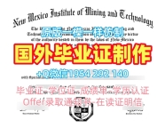 利物浦约翰摩尔大学硕士毕业证JMUPDF版成绩单复刻的艺术Liverpool John Moores University Master Diploma