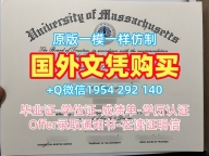 购买圣托马斯大学毕业证书PDF电子版STU成绩单分数修改的五个必备材料University of St. Thomas Bachloer Degree