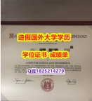 补办研究生学位证书#MIT原版毕业证造假】办理毕业证成绩单