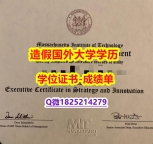 伪造#MIT斯隆管理学院原版毕业证2018版】造假硕士毕业证成绩单