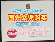 办理慕尼黑大学毕业证书复印件LMU毕业成绩单的流程是怎样的?Universität München Graduate Certificate