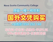 复刻圣路易斯马利维尔大学本科毕业证usnews学历认证报告的七个必备工具Maryville University of St. Louis Graduate Certificate