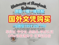 圣地亚哥大学毕业证书USD成绩单密封邮寄办理需要哪些材料？University of San Diego Bachloer Degree