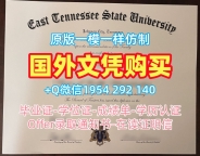 英国Essex电子版毕业证书埃塞克斯大学研究生文凭证书仿制指南University of Essex Offer letter