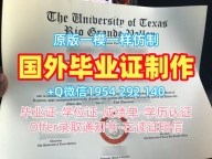 如何确保中央大学毕业证书PDF电子版Chuo学历认证报告申请成功？Chuo University Diploma