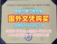美国UDayton毕业证成绩单戴顿大学PDF版成绩单的办理流程是什么？University of Dayton Offer letter