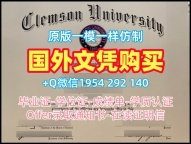 复刻美国Clemson硕士毕业证书克莱蒙森大学本科学位证书的流程是什么？Clemson University Academic Transcript