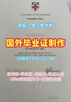 尼皮辛大学毕业证成绩单Nipissing学历认证报告制作的五大要点Nipissing University Academic Transcript