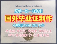 一步步教你办理伊利诺伊大学毕业证成绩单UI荣誉学位证书University of Illinois Graduate Certificate