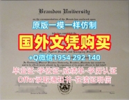 美国UMass毕业证认证麻省大学波士顿分校文凭学历证书办理的完整教程University of Massachusetts Boston Transcript