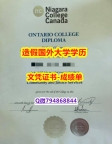做毕业证书《Niagara成绩单出售】美国毕业证