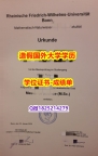 硕士学生购买#University of Bonn原版毕业证找工作】办国外学位证可找工作