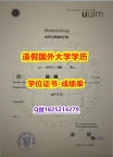 高仿#乌尔姆大学原版毕业证质量保证】《华尔街日报》