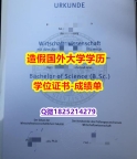 假毕业证书价格#拜罗伊特原版毕业证仿真】伪造学士假学历
