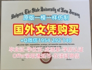 范德堡大学硕士毕业证书Vanderbilt文凭证书英文的定做时间是多久？Vanderbilt University Master Diploma