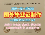 复刻科罗拉多大学博尔德分校本科毕业证书CUBoulder学历认证报告的步骤与技巧University of Colorado Boulder Academic Transcript
