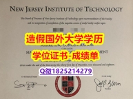 伪造毕业证#NJIT原版毕业证办理案例】【留学学位】