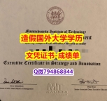 应付父母挂科办理《MIT斯隆管理学院成绩单可办理】伪造硕士文凭证书