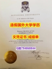 PDF格式毕业证《Nipissing成绩单钢印完美】购买研究生毕业证