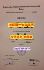《假学位证》《University of Bonn成绩单全套】办理研究生成绩单