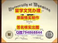 补办硕士《UW文凭证书烫金工艺】造假本科成绩单