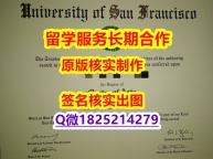 购买USF学位证书硕士学历】补办学士毕业证