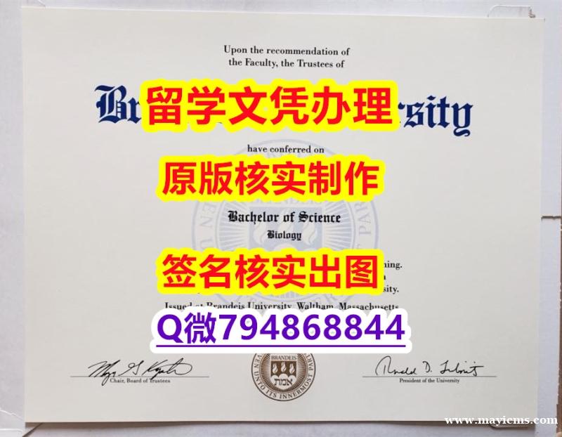 补办《Brandeis文凭证书购买案例】国外大学有毕业证 补办《Brandeis文凭证书购买案例】国外大学有毕业证