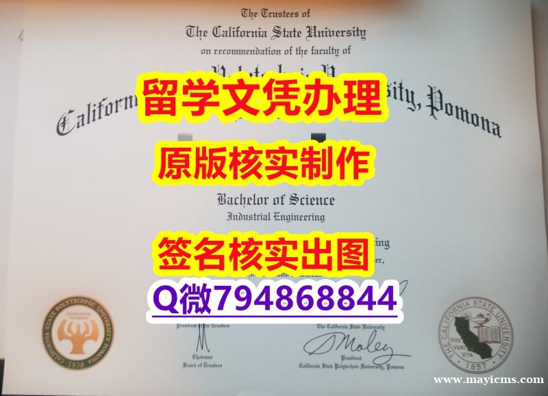 伪造《Cal Poly Pomona文凭证书哪里有卖】办理本科学位证书 伪造《Cal Poly Pomona文凭证书哪里有卖】办理本科学位证书