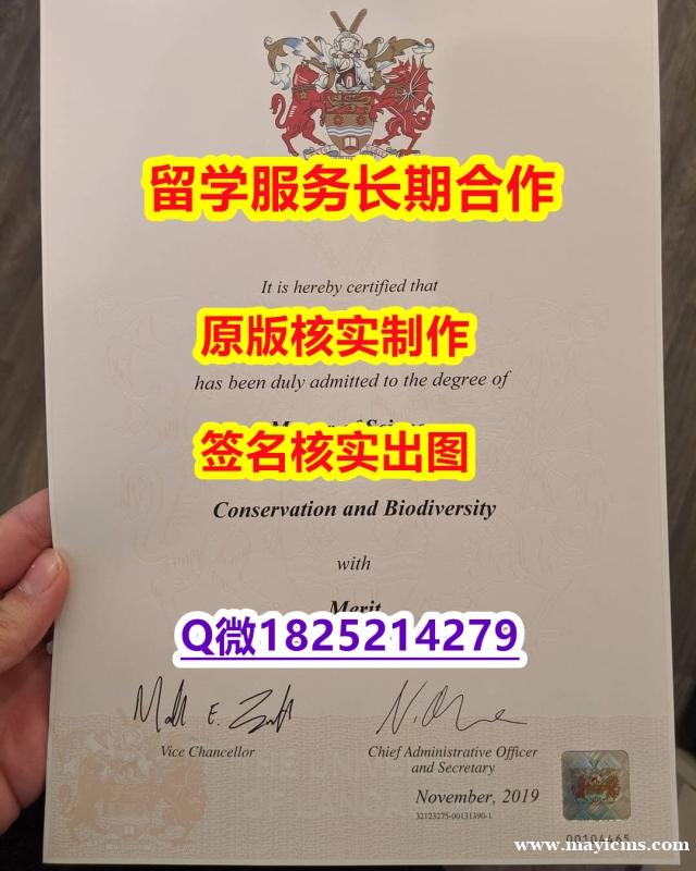 办理本科学位证书Lancaster学位证书烫金工艺】回国了找工作没有文凭怎么办?有本科却要求硕士又怎么办? 办理本科学位证书Lancaster学位证书烫金工艺】回国了找工作没有文凭怎么办?有本科却要求硕士又怎么办?