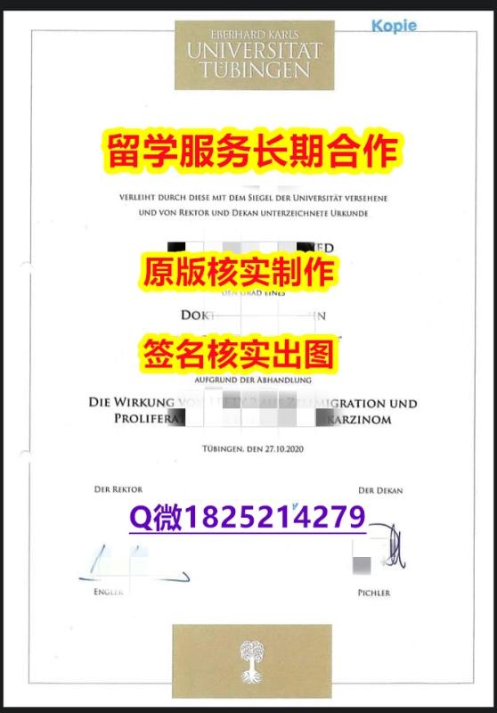 伪造硕士Tüebingen U学位证书复制】留学生在哪里购买学位证书 伪造硕士Tüebingen U学位证书复制】留学生在哪里购买学位证书