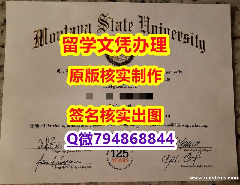 (颁发证书)《MSU文凭证书推荐】补办硕士假学历 (颁发证书)《MSU文凭证书推荐】补办硕士假学历