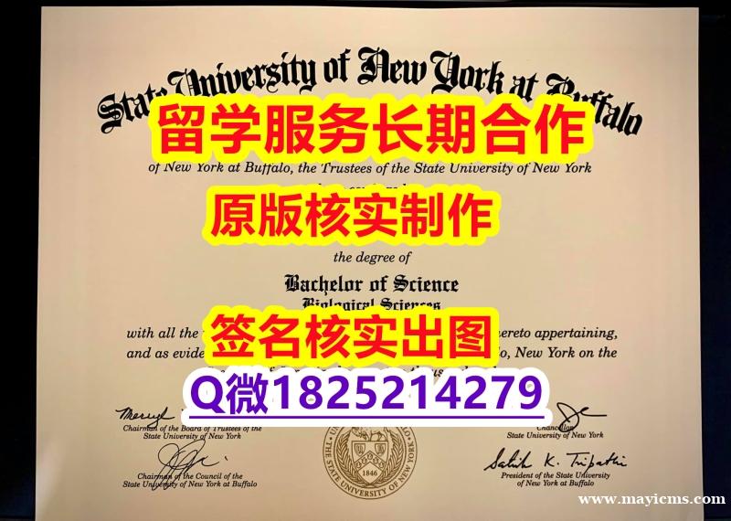 版本任选UB学位证书硕士offer】有本科却要求硕士又怎么办? 版本任选UB学位证书硕士offer】有本科却要求硕士又怎么办?