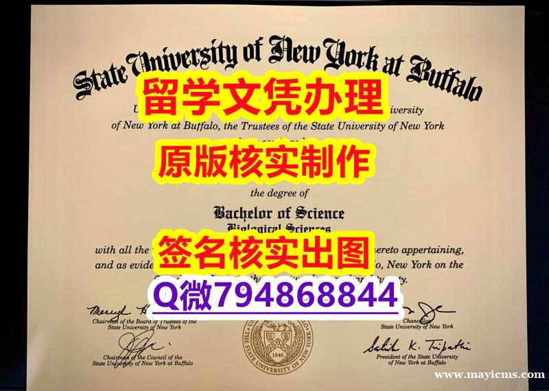 造假《UB文凭证书购买案例】办理本科学位证书 造假《UB文凭证书购买案例】办理本科学位证书