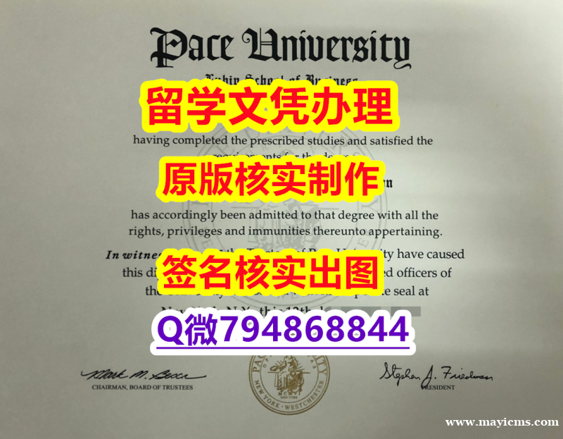PDF格式毕业证《佩斯大学文凭证书推荐】补办学士假学历 PDF格式毕业证《佩斯大学文凭证书推荐】补办学士假学历