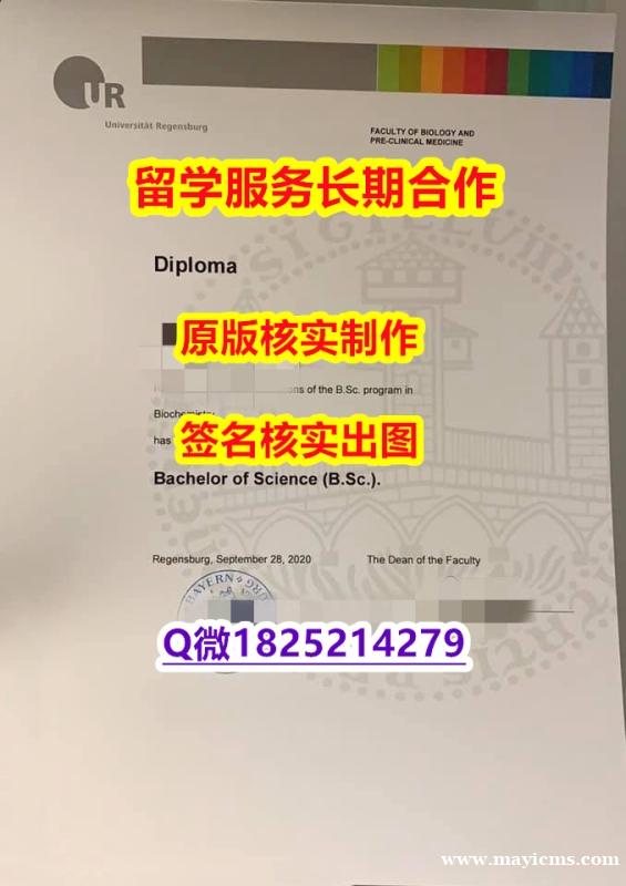 办理雷根斯堡大学学位证书最新版】购买研究生假学历 办理雷根斯堡大学学位证书最新版】购买研究生假学历