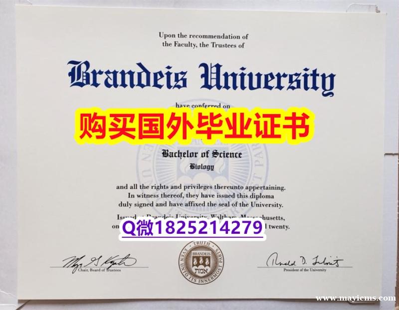 首选可靠制作【美国布兰迪斯大学毕业证国内认可】补办学士假学历 首选可靠制作【美国布兰迪斯大学毕业证国内认可】补办学士假学历