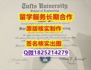 补办Tufts学位证书材料缺失】学历认证 本科