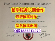 造假硕士NJIT学位证书在哪里可以办理】办理本科成绩单