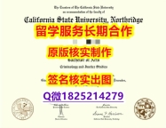本科学生伪造CSUN学位证书复刻】购买硕士假学历