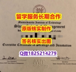 办理本科文凭证书MIT斯隆管理学院学位证书-留信认证有什么用】伪造毕业证成绩单